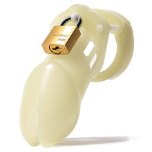 Load image into Gallery viewer, Glow-In-The-Dark Male Chastity Device-0