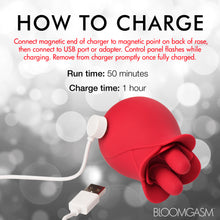 Load image into Gallery viewer, 10X Fondle Massaging Rose Silicone Clit Stimulators-10