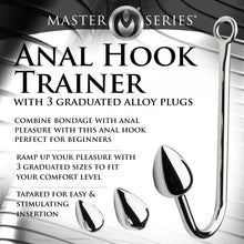 Load image into Gallery viewer, Anal Hook Trainer with 3 Plugs-1