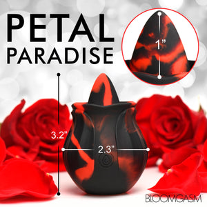 Black Kiss Rimming Rose-3