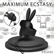 Load image into Gallery viewer, Sucky Bunny Clit Stimulator - Black-5