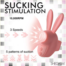 Load image into Gallery viewer, Sucky Bunny Clit Stimulator - Pink-2