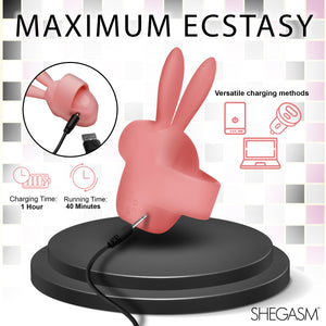 Sucky Bunny Clit Stimulator - Pink-5
