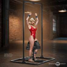 Load image into Gallery viewer, Pleasure Post Saddle Frame-0