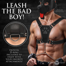 Load image into Gallery viewer, Alpha Pup Bulldog Harness - Black-2