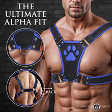 Load image into Gallery viewer, Alpha Pup Bulldog Harness - Blue-1