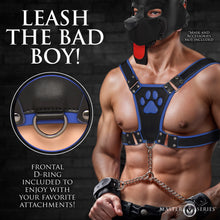 Load image into Gallery viewer, Alpha Pup Bulldog Harness - Blue-2