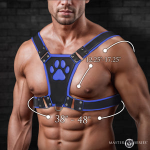 Alpha Pup Bulldog Harness - Blue-3