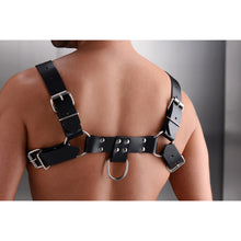 Load image into Gallery viewer, English Bull Dog Harness