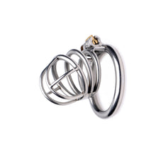 Load image into Gallery viewer, The Pen Deluxe Stainless Steel Locking Chastity Cage