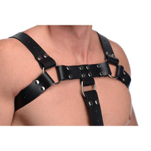 Load image into Gallery viewer, English Bull Dog Harness with Cock Strap