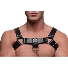 Load image into Gallery viewer, English Bull Dog Harness with Cock Strap