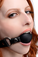Load image into Gallery viewer, Interchangeable Silicone Ball Gag Set