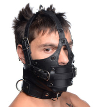 Load image into Gallery viewer, Leather Head Harness with Removeable Gag