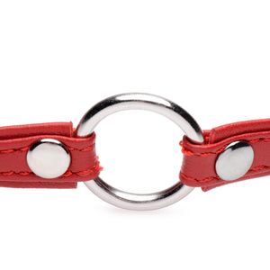 Fiery Pet Leather Choker with Silver Ring