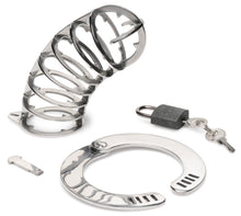 Load image into Gallery viewer, Stainless Steel Spiked Chastity Cage