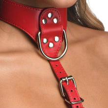 Load image into Gallery viewer, Red Female Chest Harness- Small/Medium