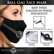 Load image into Gallery viewer, Under Cover Ball Gag Face Mask