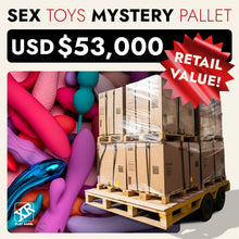Load image into Gallery viewer, Sex Toys Mystery Pallet-0