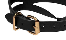 Load image into Gallery viewer, Black and Gold Collar with Leash Kit