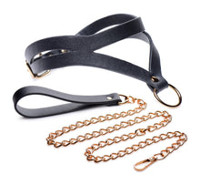 Load image into Gallery viewer, Black and Gold Collar with Leash Kit