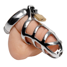 Load image into Gallery viewer, Detained Stainless Steel Chastity Cage