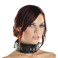 Load image into Gallery viewer, Strict Leather Premium Fur Lined Locking Collar- SM