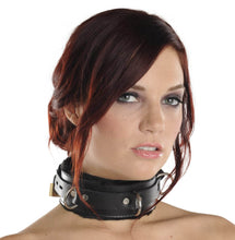 Load image into Gallery viewer, Strict Leather Premium Fur Lined Locking Collar- SM